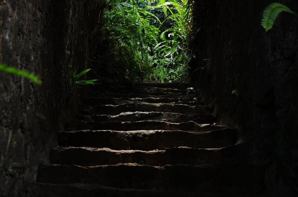 Boulder Garden Otel Kalawana Dış mekan fotoğraf